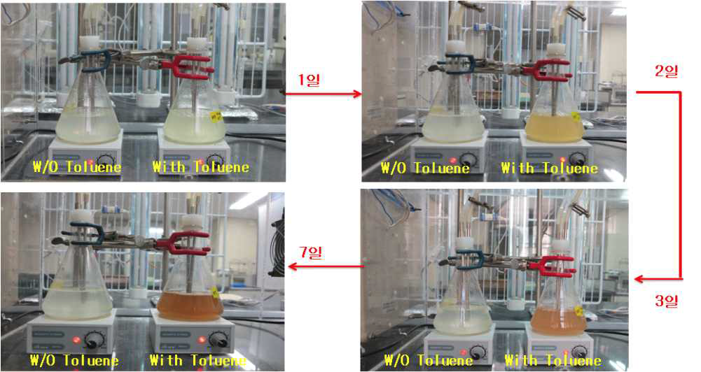Toluene을 주입하여 활성슬러지 내 toluene 제거 미생물 농화배양 실험과정