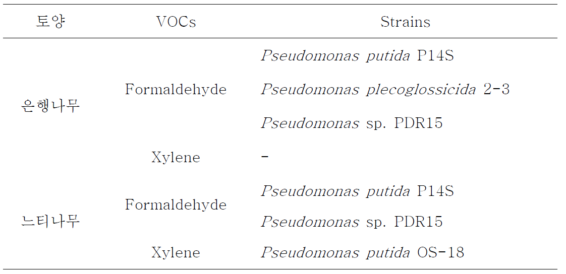 다양한 토양시료의 formaldehyde 및 xylene 공급으로부터 분리된 미생물 동정