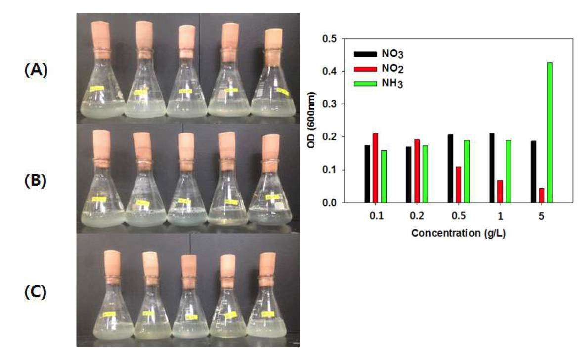 질소원의 종류 및 농도에 따른 P. putida의 생장