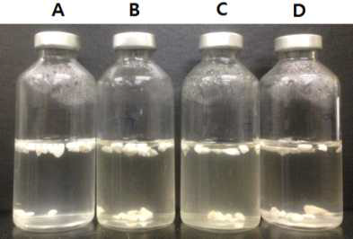 고정화된 담체의 toluene 제거 확인 실험