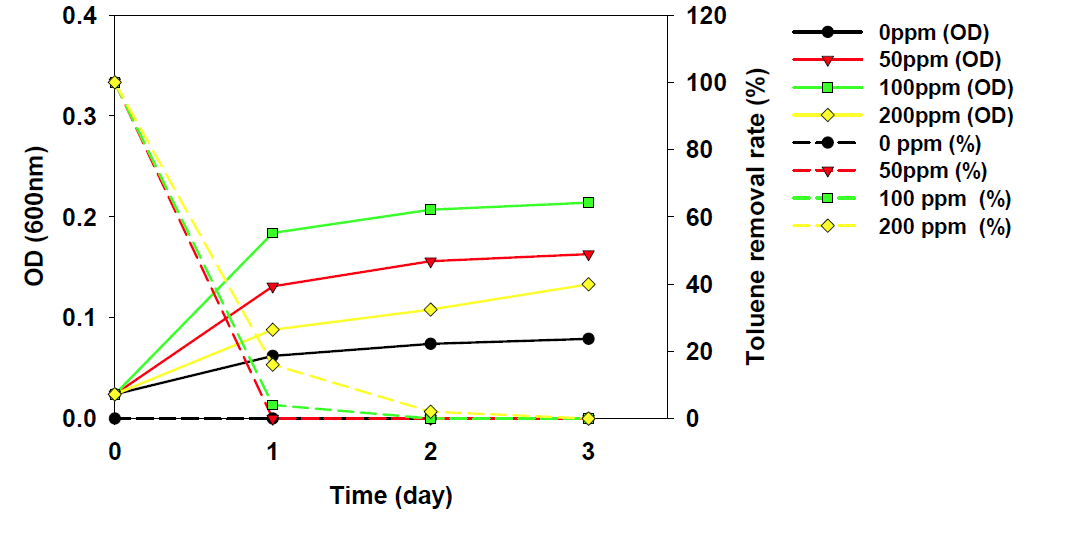 P. putida가 고정된 perlite의 toluene 제거 효율 및 생장확인.
