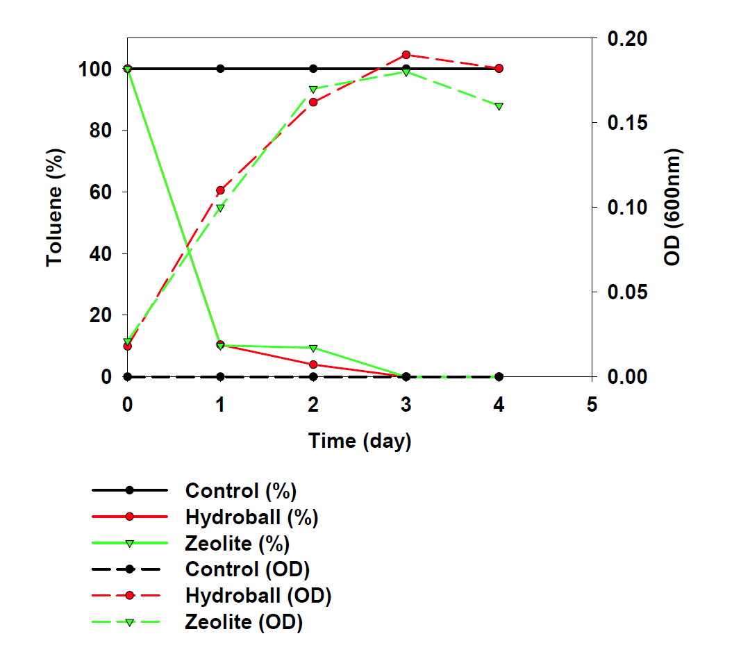 고정화 hydroball, zeolite의 toluene 제거율 및 P. putida 생장 결과.