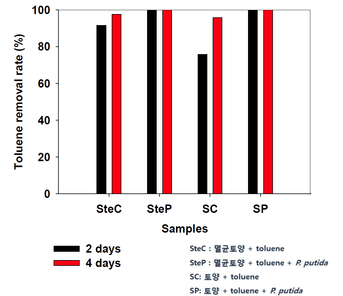 P . putida 접종에 따른 토양의 toluene 제거율 결과.