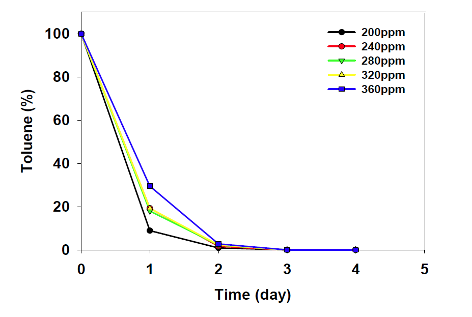 Toluene 농도에 따른 P . putida의 toluene 제거 결과.