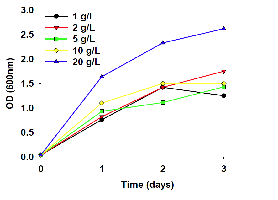 Glucose 농도에 따른 P . putida의 생장 결과.