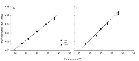 핵을 깨어 월동유충을 노출시킨 상태에서 온도와 번데기로의 발육률 사이 관계