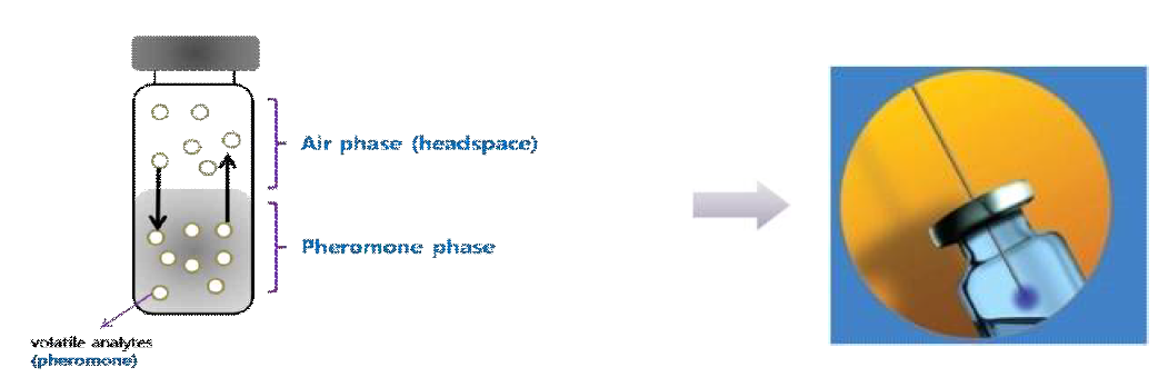 Head-space GC 분석법