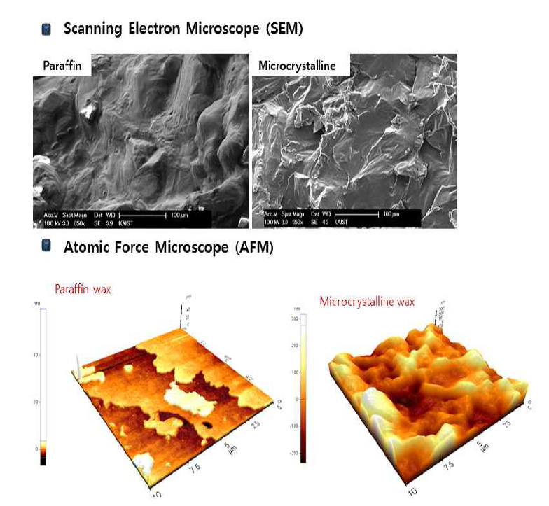 SEM과 AFM을 통해 분석한 paraffin과 microcrystalline왁스의 구조 분석