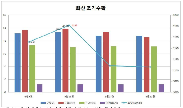 ‘화산’ 품종의 수확기에 따른 수량 및 지하부 특성변화