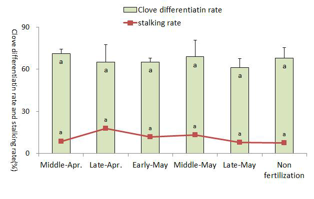 Clove differentiation rate and stalking rate by additional fertilizing date according to spring planting cultivation