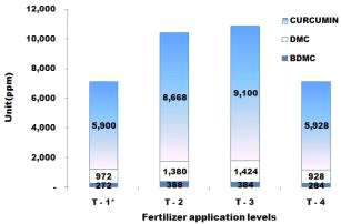 Content of curcumin on fertilizer application levels in paddy soil.