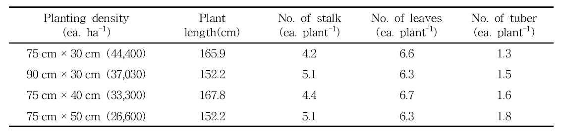 Growth of turmeric on plant distance levels in paddy soil (2015. Oct. 28th)