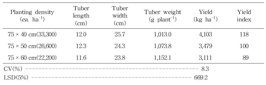 Comparison of yield of turmeric on plant distance levels in upland soil (2014. Nov. 3th)
