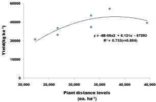 Yield of turmeric on plant distance levels.