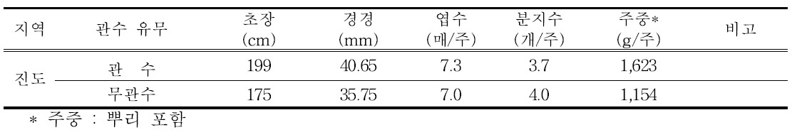 관수에 따른 강황의 생육특성(조사 : 10월 21일, 100×39 cm, 2,564주/10a)