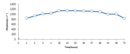 Ethylene production of ethylene generator in 30L plastic container.