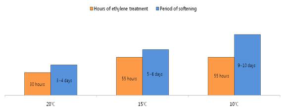 The optimum ethylene treatment time(10μL.L-1) and softening period according to temperature.