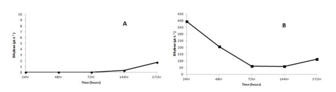 Ethylene concentration in the Kiwi fruit box (A, control; B, ethylene generator treatment).