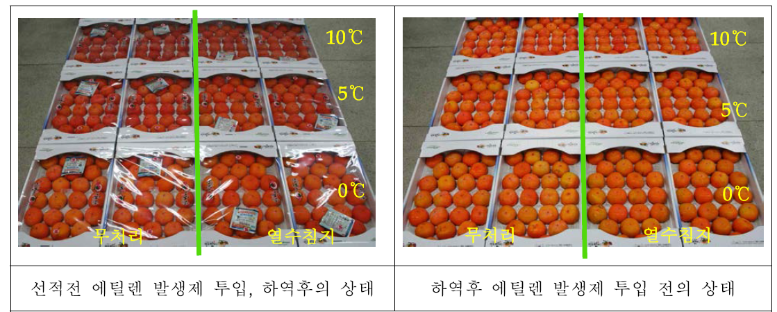 청도반시 모의 수송 온도와 에틸렌발생제 투입시기에 따른 수입국 도착 직후의 과실 상태