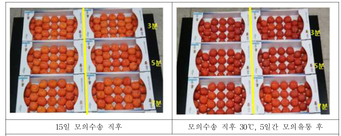 48℃ 열수침지 3분, 5분, 7분 처리에 따른 과실 품질