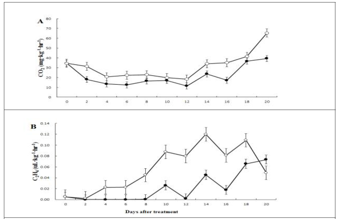 참다래 숙성일수에 따른 무처리구와 에틸렌 처리구간 호흡량과 에틸렌 발생량 (A) 호흡량, (B) 에틸렌 발생량. ●, 무처리; ○, 에틸렌 처리구