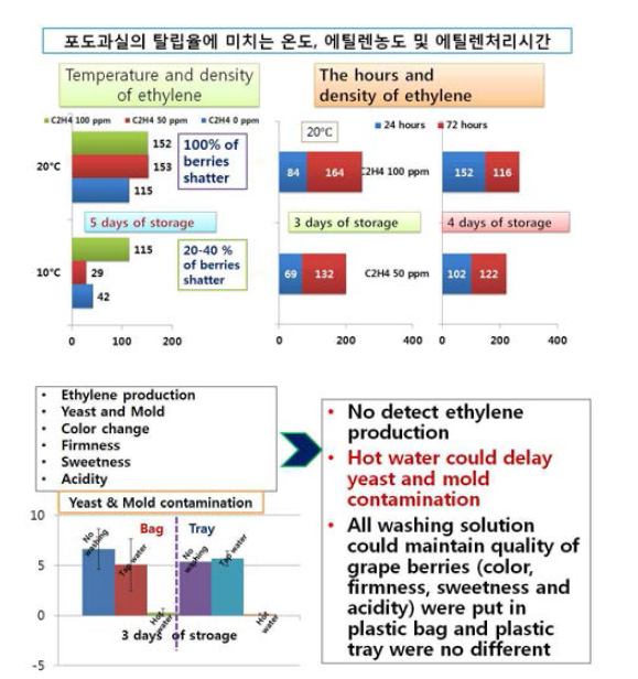 세척에 의한 곰팡이 억제 효과