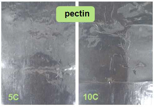 Pectin-laminated PP film