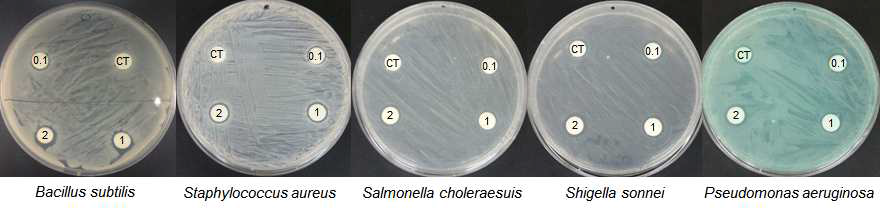 Inhibitory zone formation of lemon peel EO against panthogenic bacteria.