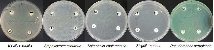 Inhibitory zone formation of Artemisia princeps Pamp EO against panthogenic bacteria