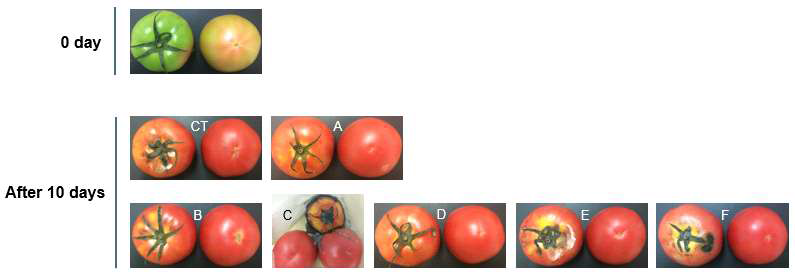 Changes in appearance of tomatoes packaged by biomaterial films during 10 days at room temperature