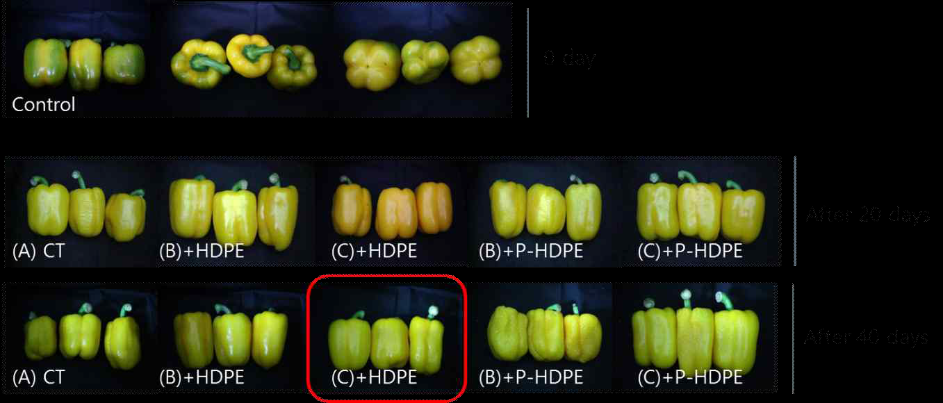 포장방법 및 포장재에 따른 20일 및40일, 8℃ 저장 파프리카의 외관 변화