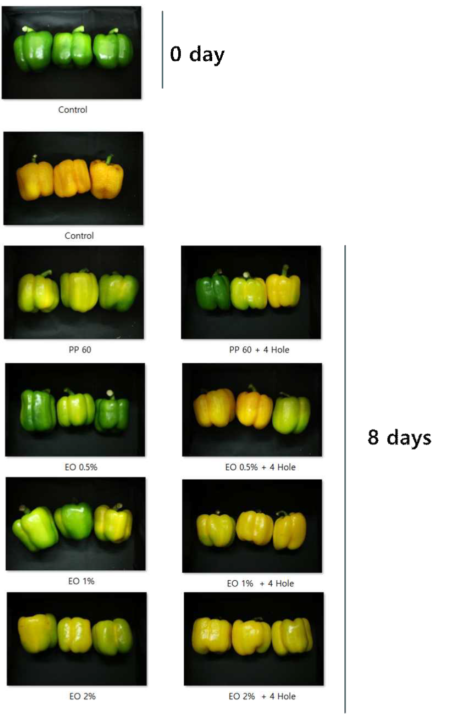 포장방법 및 농도에 따른 8일, 25℃ 저장 중 파프리카의 외관 변화