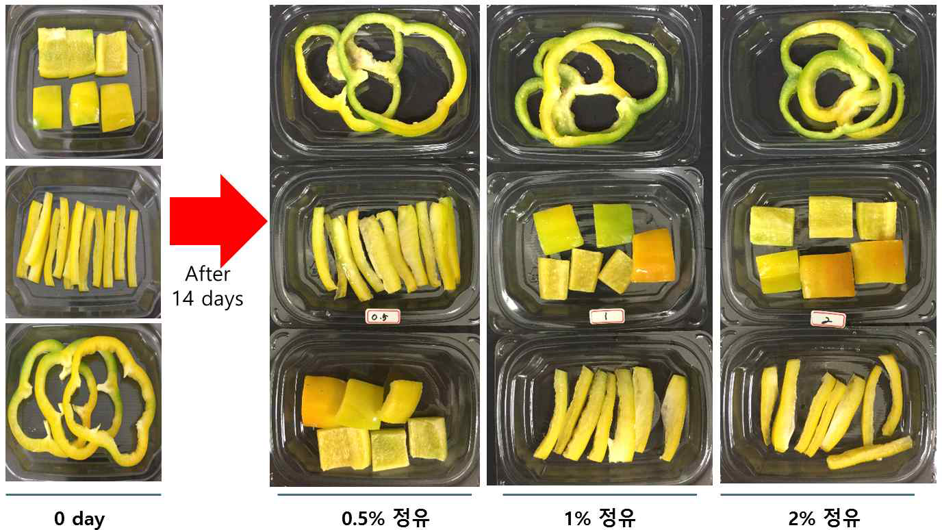 Fresh-cut 파프리카에 적용된 약쑥정유 기능성필름 농도별 외관 변화