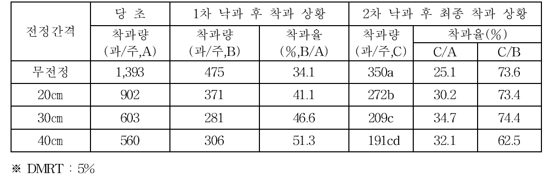 결과모지 전정 간격별 착과 상황