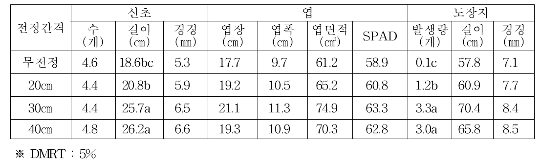 결과모지 전정 간격별 생육상황