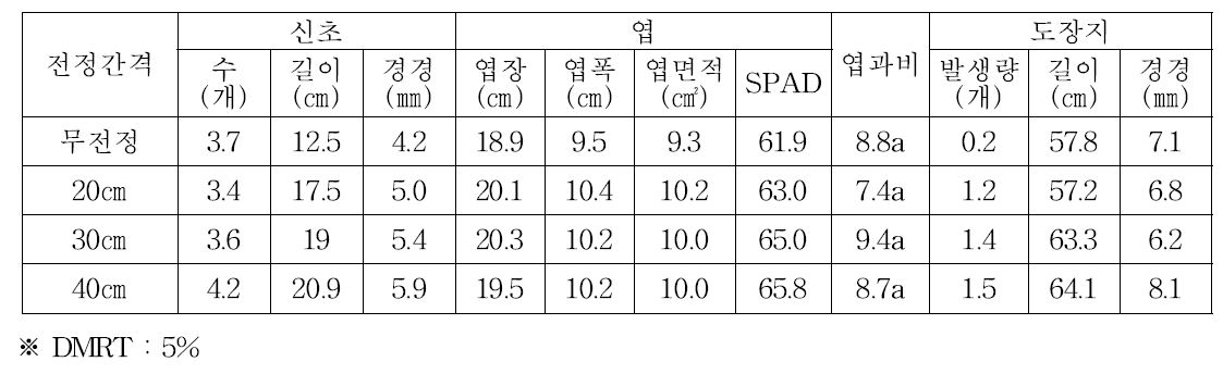 결과모지 전정 간격별 생육상황