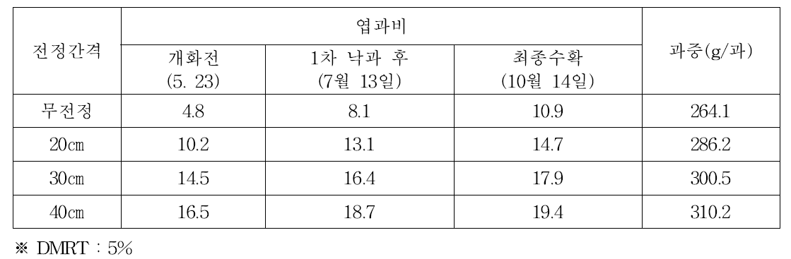 결과모지 전정 간격별 엽과비 및 과중