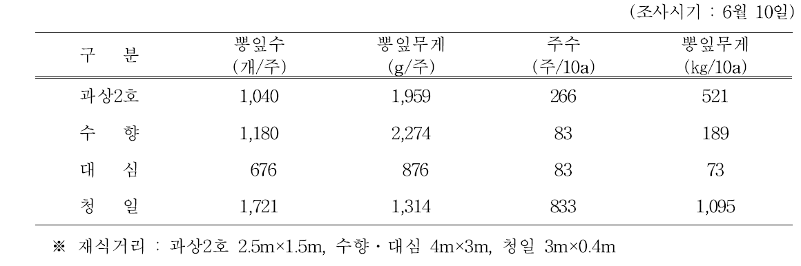 오디용 뽕나무 품종별 뽕잎 생산량