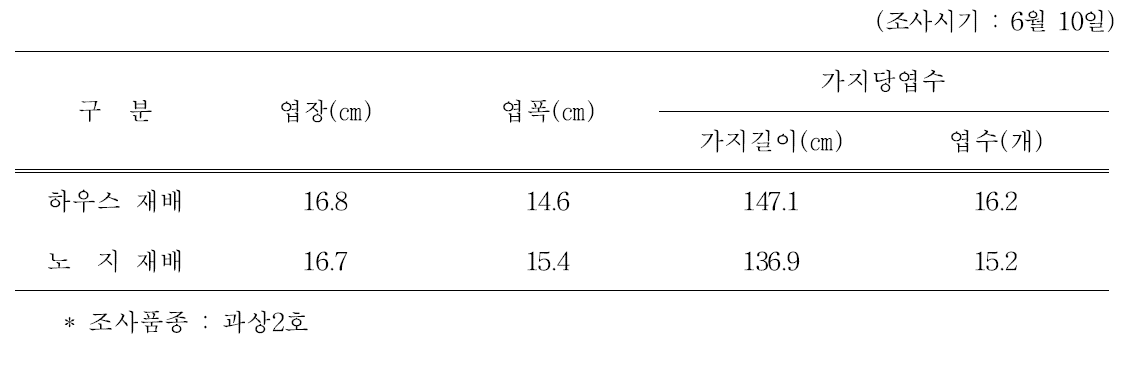 오디용 뽕나무 재배유형별 잎 특성