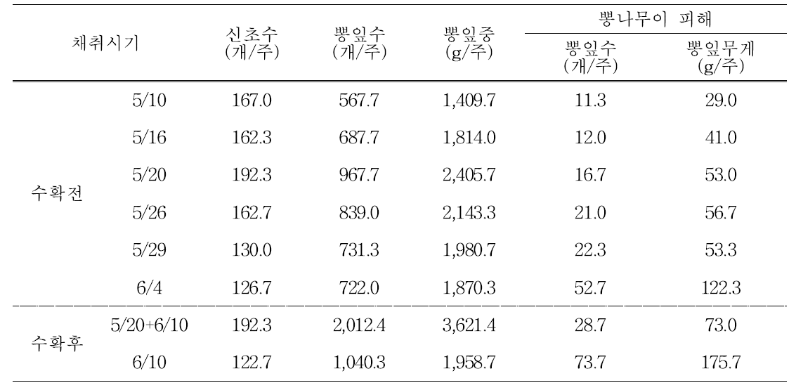 오디 수확 전(적엽기) 및 수확 후 뽕잎 이용 가능량