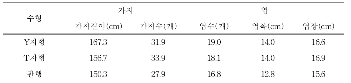 오디용 뽕나무 시설재배 수형별 가지 및 엽 생육