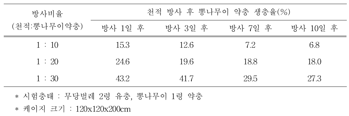 무당벌레 유충 방사에 따른 뽕나무이 밀도억제효과(케이지내 방사)