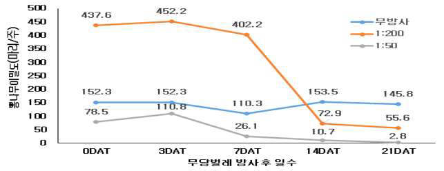 하우스 재배 포장에서 무당벌레 방사에 따른 뽕나무이 밀도 변화