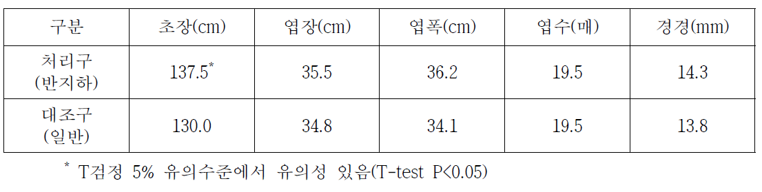 시험구별 토마토 생육조사