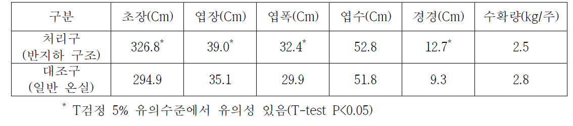 시험구별 토마토 생육조사 (조사시점 : 정식 후 163일 경과)