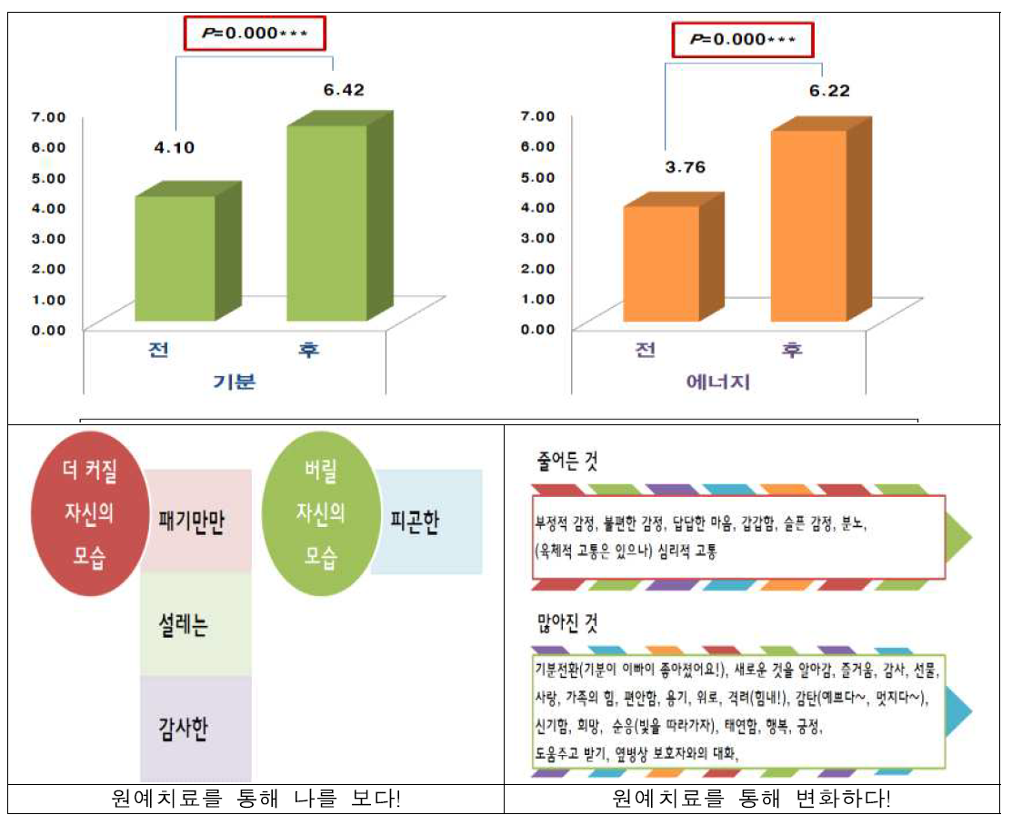 말기암 환자 보호자의 기분 및 에너지 변화