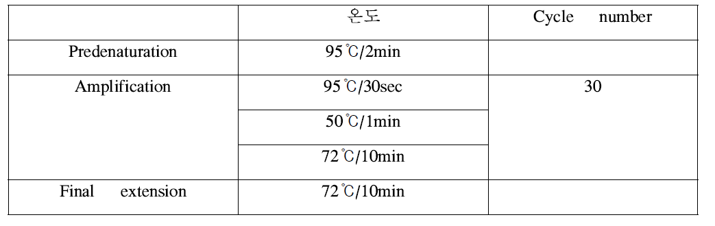 PCR 조건