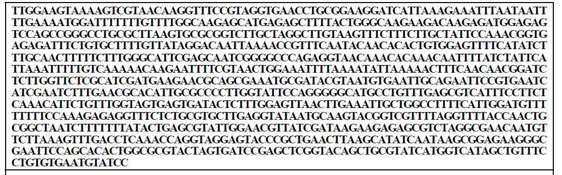 분리 균주의 16S rRNA 염기서열