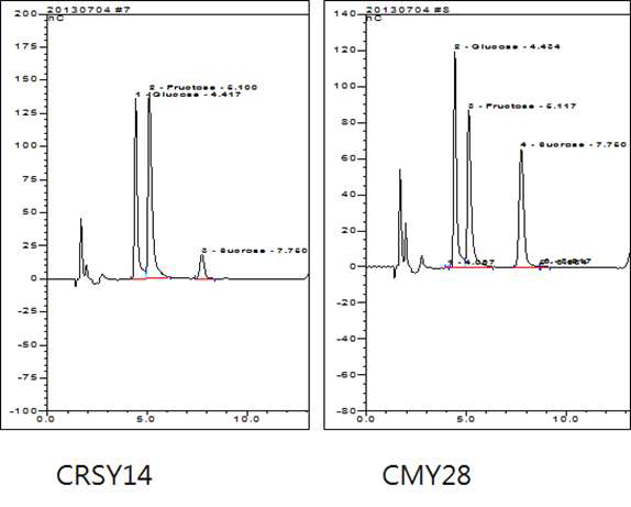 CRSY14와 CMY28의 알코올 발효 후 유리당 분석