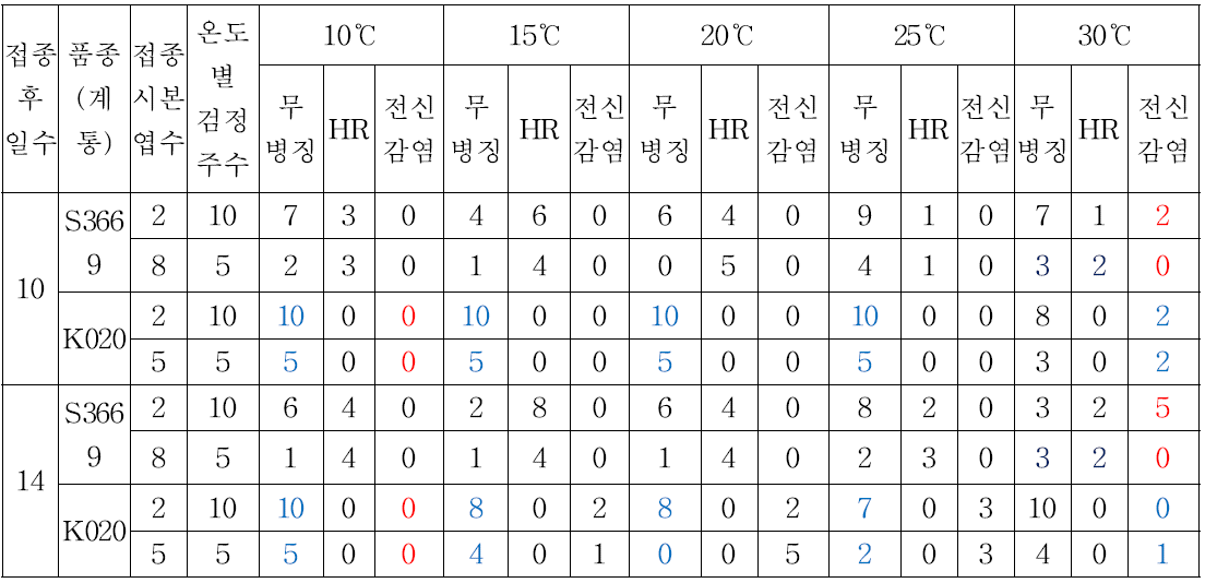 고추작물(C. annuum)에 TSWV 인공접종 후 유지하는 온도별 바이러스 감염 반응